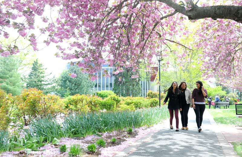 students walking on pathway outside college